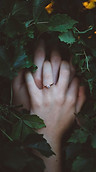 Image by Jacob Rank