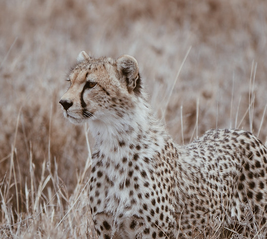 Image by Maurits Bausenhart
