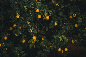 Image by George Lemon