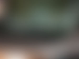 What’s on my Mac in 2022