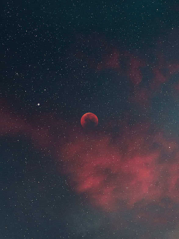 이미지 제공: Adrian Swancar