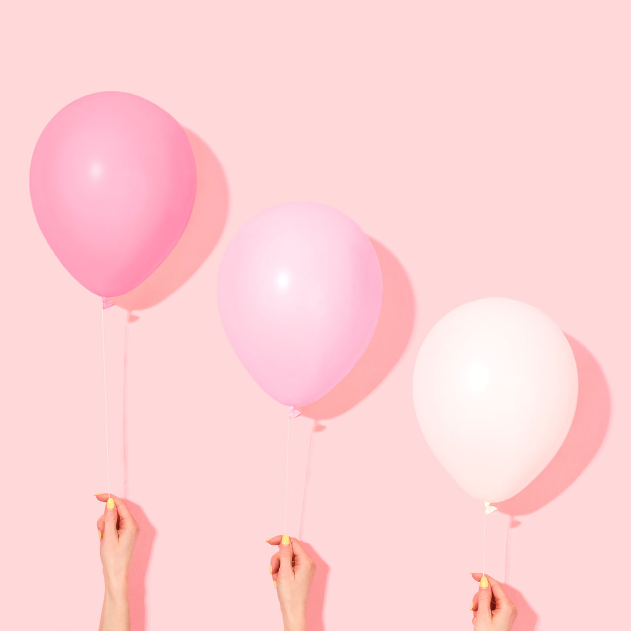 Image by Amy Shamblen