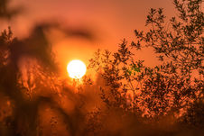 Vigilance CANICULE orange, le 30 juin 2025