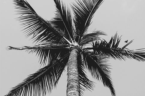 Image by Lauren Rader