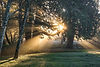 Image by Darren Bockman