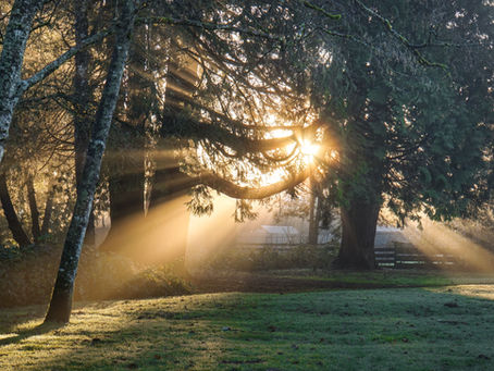 Start Your Day Right:Mindful Morning Routine