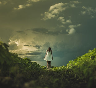 Image by Matthew Henry