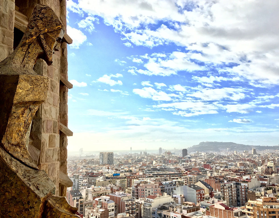 barcelona sagrada familia tower panoramic view