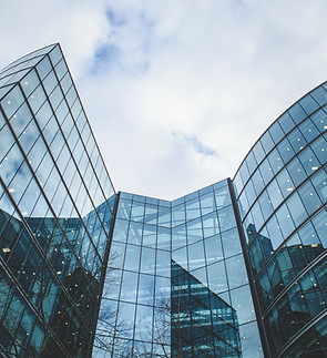 Image by Harry Shelton