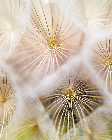 Image by Paul Talbot