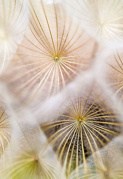 Image de Paul Talbot