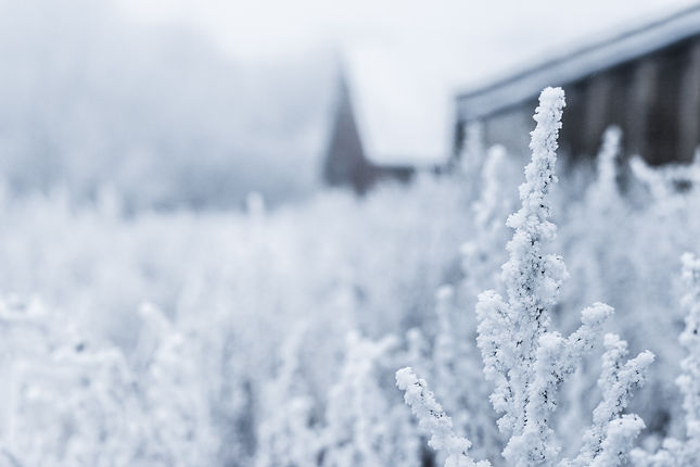 Neige et gel, Natasha Vasiljeva