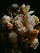 Image de Annie Spratt