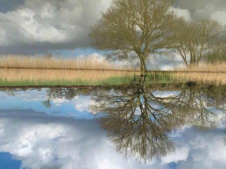 perspectief
