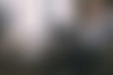Isolation: die Auswirkungen mangelnder Sozialisation und ihre Lösungen