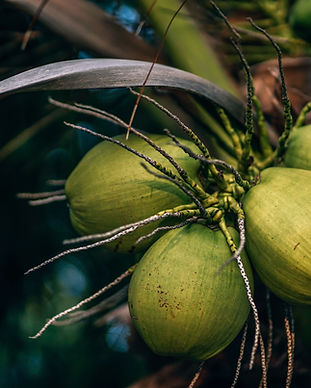 Image by Nipanan Lifestyle