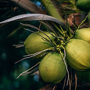 Image by Nipanan Lifestyle