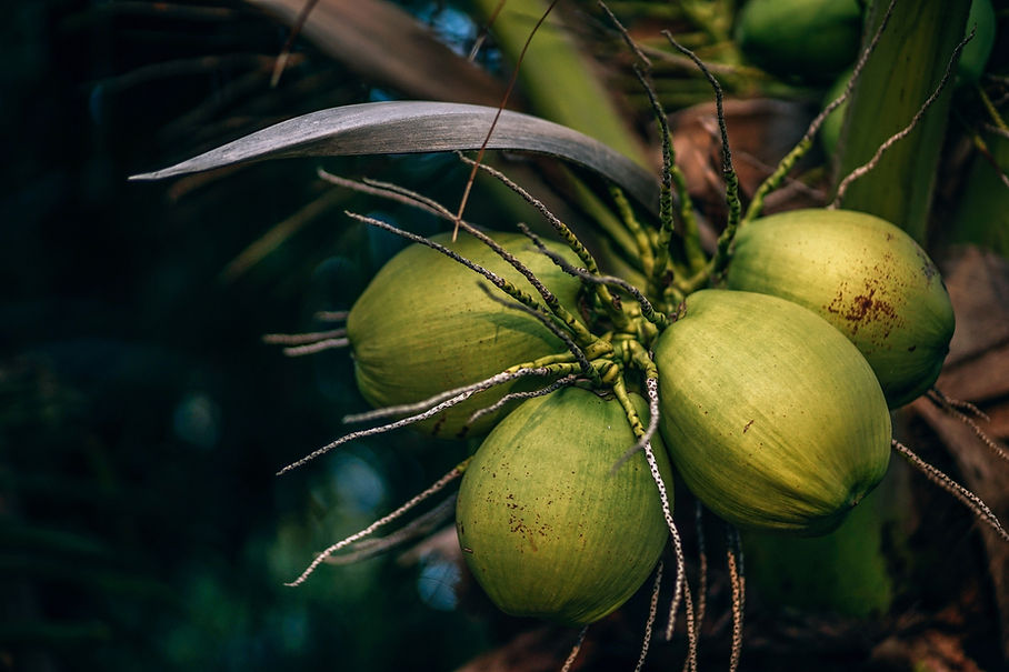 Image by Nipanan Lifestyle