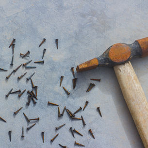 Ruminations for Reformation Day