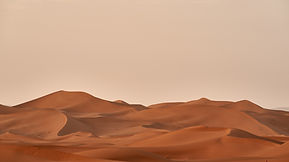 Dune Part 2: A True Blockbuster Epic