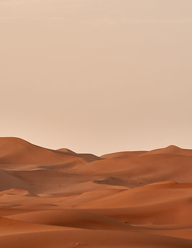 Image by Wolfgang Hasselmann