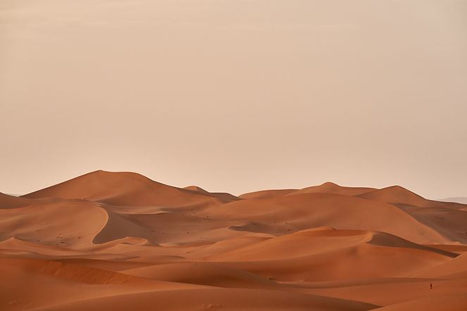 Image by Wolfgang Hasselmann