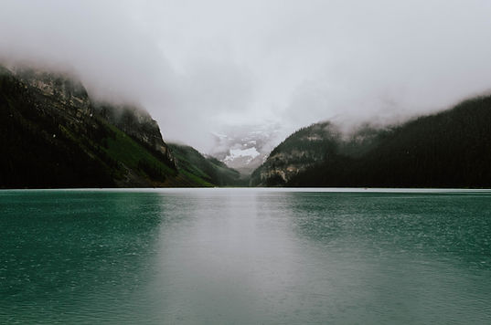 Image by Hayden Scott