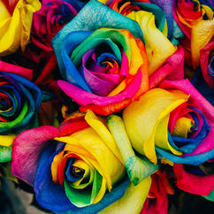 flower art competition online