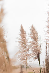 Image by Daniel Schludi