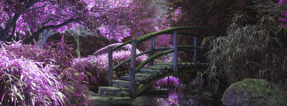 Image by Cosmic Timetraveler