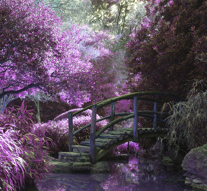 Image by Cosmic Timetraveler