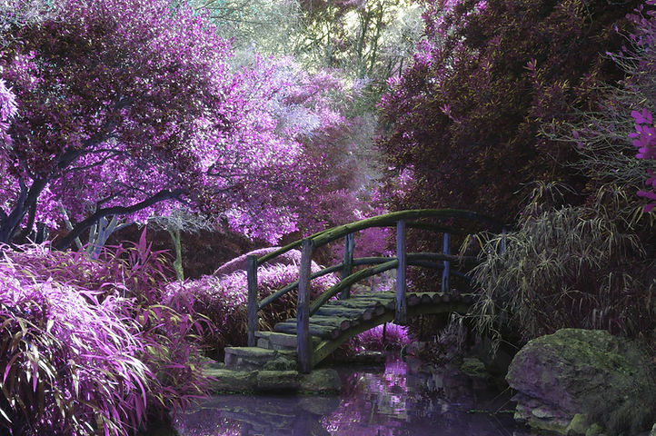 Image by Cosmic Timetraveler