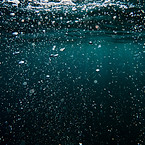 Image by Cristian Palmer