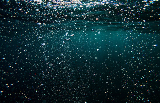 Image by Cristian Palmer