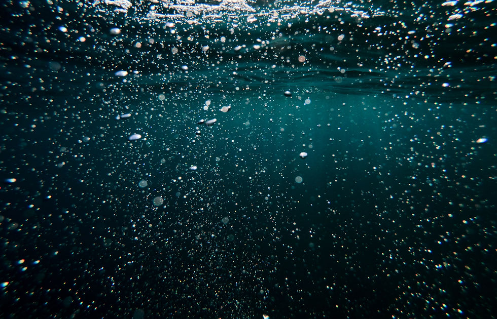 Image by Cristian Palmer