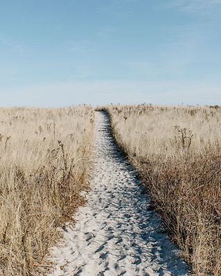 Image by Alice Donovan Rouse