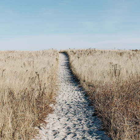 Image by Alice Donovan Rouse