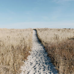 FLOWCAST: THOMAS WOODLAND - THE PATH TO SUCCESS