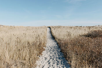 Image by Alice Donovan Rouse
