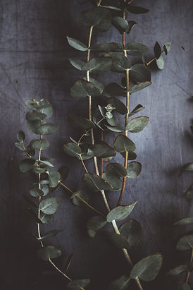 Image by Annie Spratt