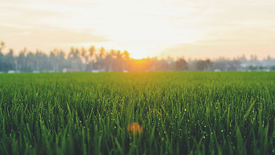 Image by Fauzan Saari