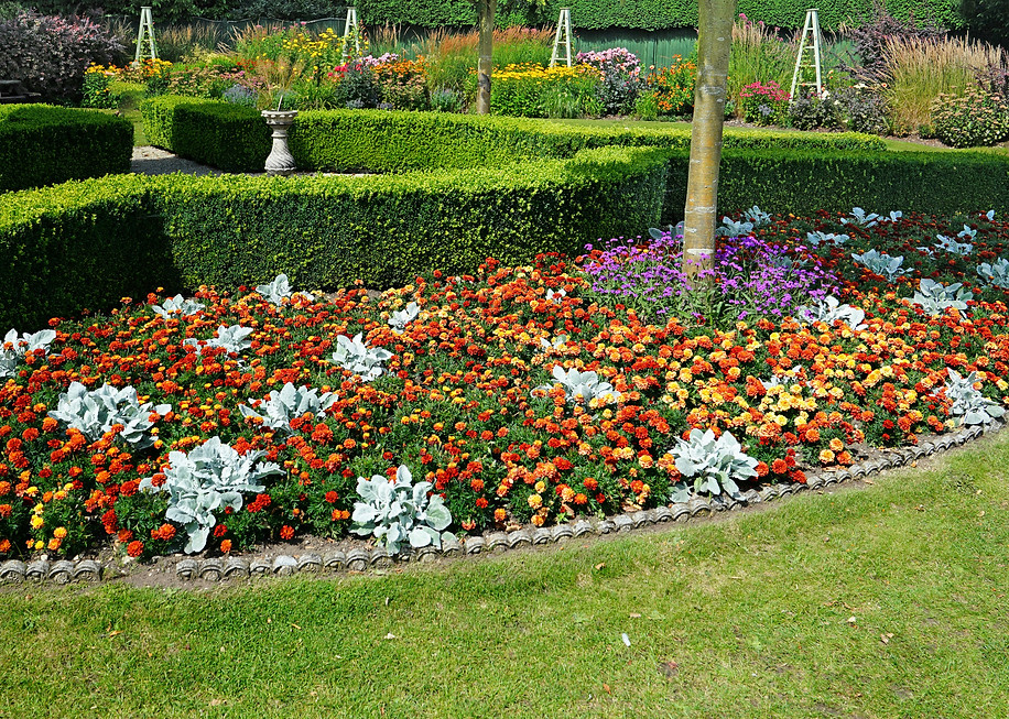 Image by Martin Wemyss