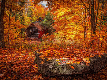 Autumnal Treats!