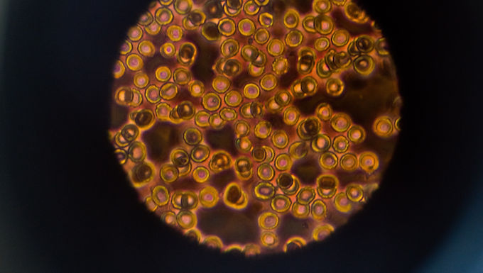 Biomedical and Science