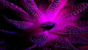 Image by Pete Moore