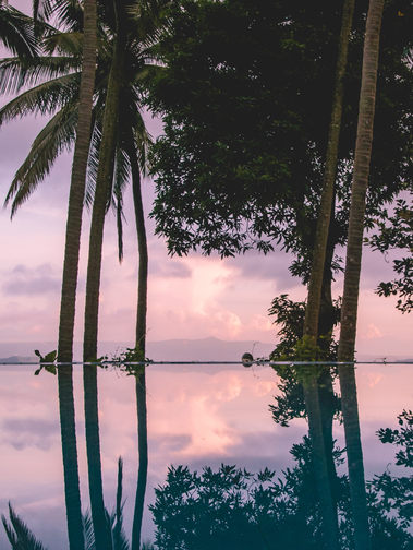 Image by Vernon Raineil Cenzon