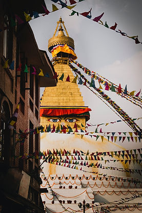 Image by Alexander Aashiesh