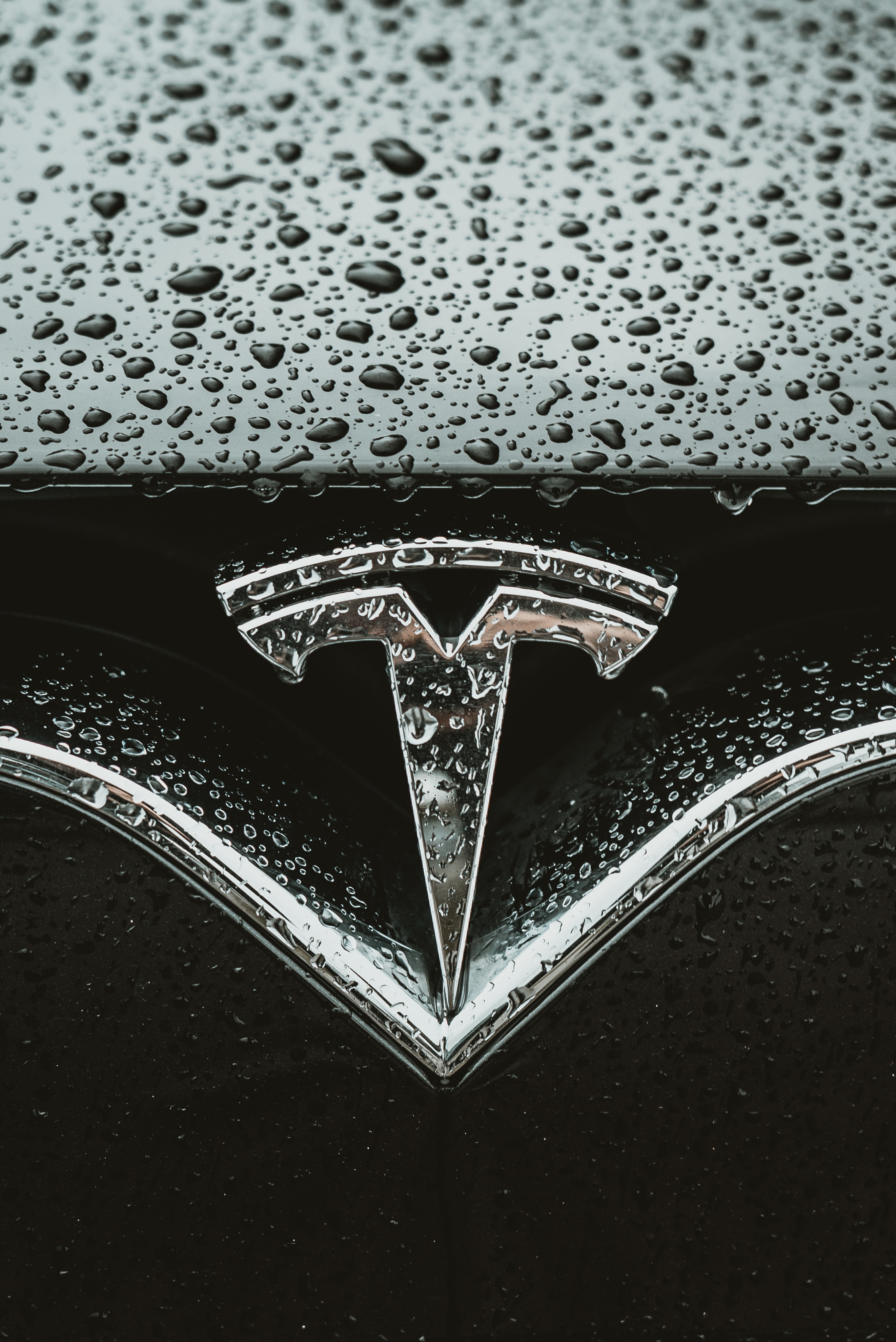 The Automobile Industry: Tesla, Tech, Morality