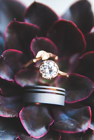 Image by Heather Mount