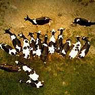 Image by Filip Bunkens